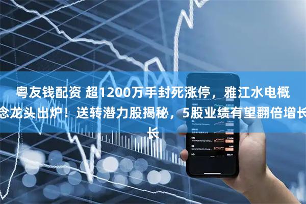 粤友钱配资 超1200万手封死涨停，雅江水电概念龙头出炉！送转潜力股揭秘，5股业绩有望翻倍增长