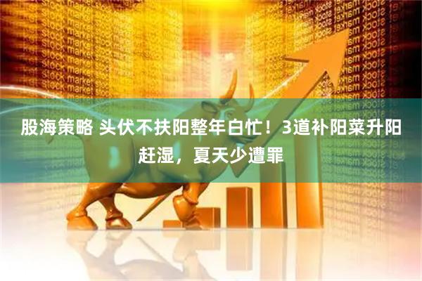 股海策略 头伏不扶阳整年白忙！3道补阳菜升阳赶湿，夏天少遭罪