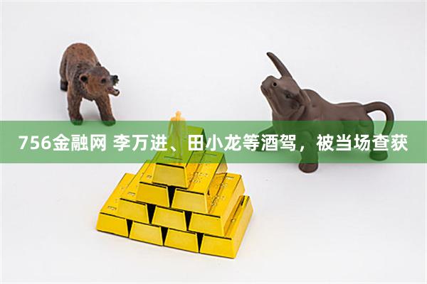 756金融网 李万进、田小龙等酒驾，被当场查获