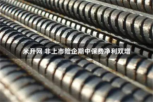 米升网 非上市险企期中保费净利双增